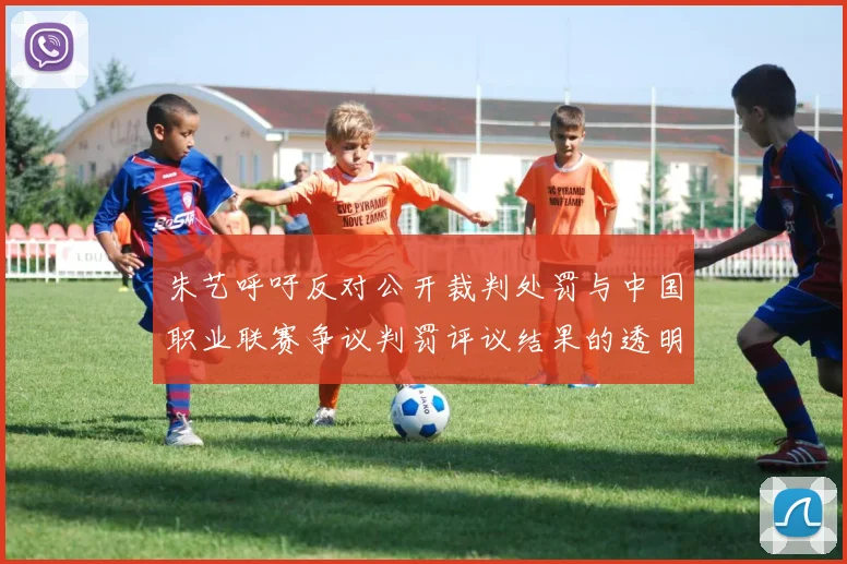 朱艺呼吁反对公开裁判处罚与中国职业联赛争议判罚评议结果的透明化探讨
